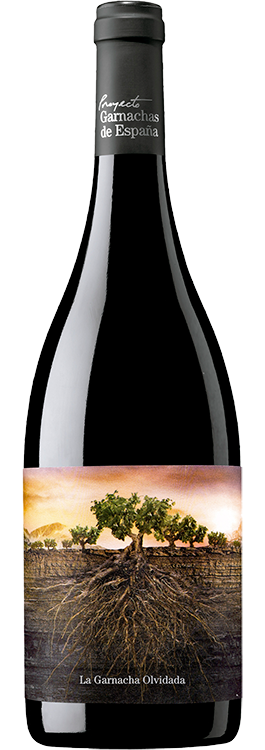 La Garnacha Olvidada de Aragón